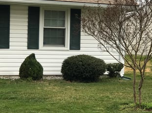 Bush Trimming by Kamonta Hackey for Charlene C. in Oxon Hill, MD