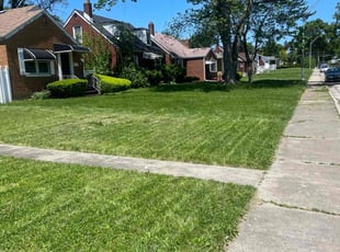 Jamecia P.'s Lawn Mowing Service service result