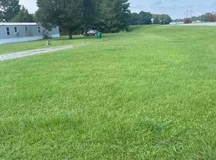 Catherine F.'s Lawn Service service result
