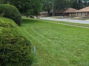 Ella F.'s Lawn Mowing Service service result