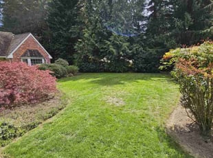 nancy a.'s Lawn Care service result