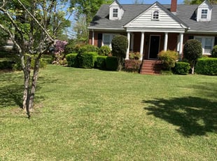 Rahmel M.'s Yard Cutting service result