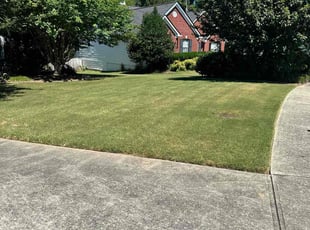 Sheila R.'s Lawn Maintenance service result