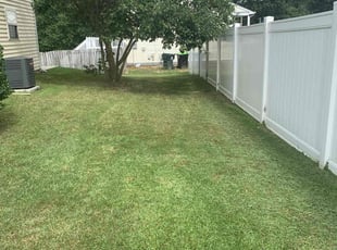 Tammy D.'s Lawn Mowing service result