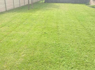 Marcie A.'s Lawn Maintenance service result