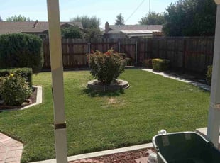 Christopher D.'s Yard Cutting service result