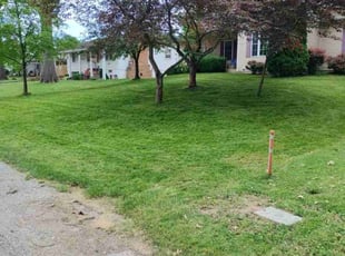 Rhiannon O.'s Lawn Care service result