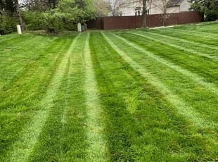 Donnell B.'s Lawn Care service result