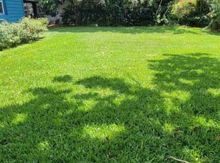 Stephanie S.'s Lawn Mowing service result