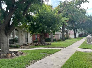 Olga S.'s Lawn Service service result