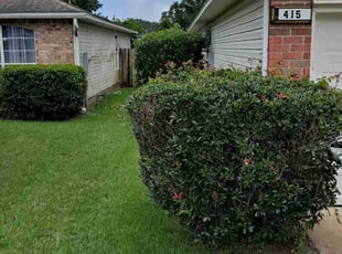 Bush Trimming by John Joens for June W. in Pensacola, FL