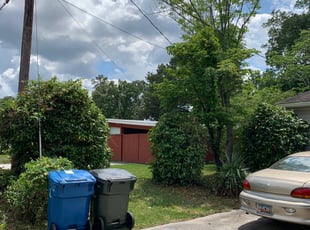 Bush Trimming by Leroy Williams for Debbie C. in West Columbia, SC