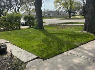 Fatima B.'s Lawn Mowing Service service result