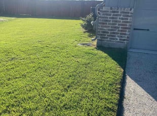 Tauna W.'s Lawn Care service result