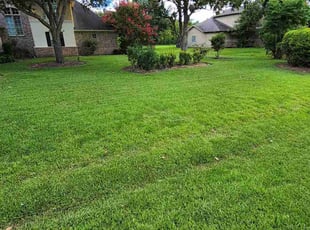 Matthew B.'s Yard Cutting service result