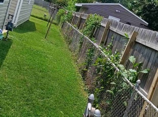 Weeding by Royce Jenkins for Francesca K. in Newport News, VA
