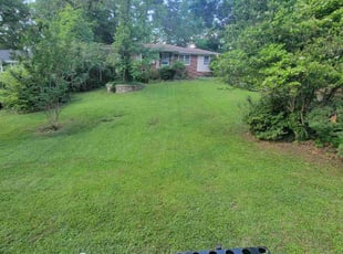 Joshua C.'s Lawn Mowing service result