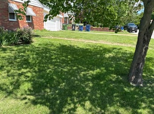 Jeannine K.'s Lawn Service service result