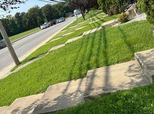 Angela S.'s Lawn Service service result