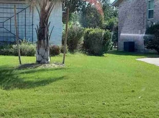 Bush Trimming by Patrick Pickens for Candace T. in Sugar Land, TX