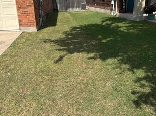 Jennifer R.'s Yard Cutting service result