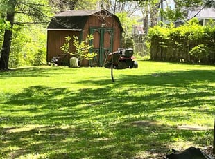 Yoandra M.'s Lawn Care service result