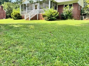 James M.'s Lawn Mowing service result