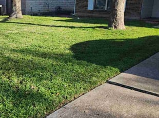 Dan S.'s Lawn Care service result