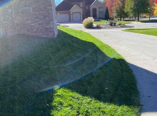 Navin B.'s Grass Cutting service result