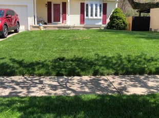 Shanora K.'s Lawn Mowing service result