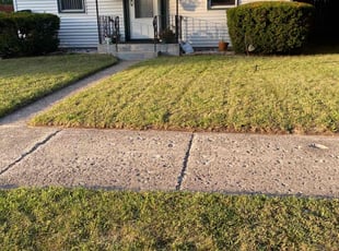 Quinn D.'s Lawn Care service result