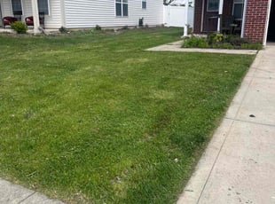 Trevor P.'s Yard Cutting service result