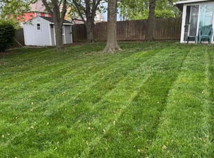 Karly s.'s Yard Cutting service result