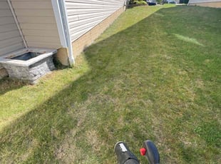 Kevin R.'s Lawn Mowing service result