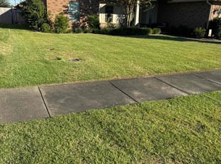 Stephanie H.'s Lawn Mowing Service service result