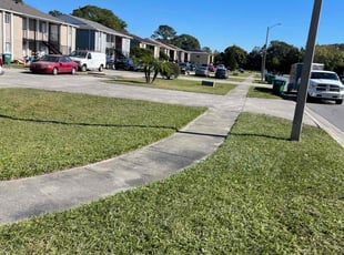 Catherine W.'s Lawn Service service result