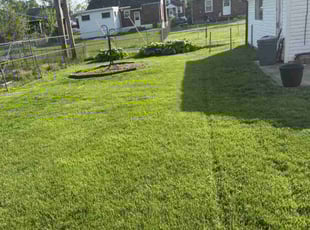 Xavier S.'s Lawn Service service result