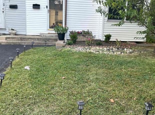 Allen A.'s Lawn Mowing service result