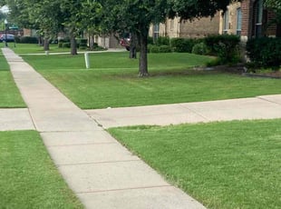 Deborah B.'s Lawn Mowing service result