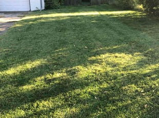 Richard ( Rick ) R.'s Lawn Care service result