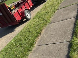 Mike S.'s Lawn Mowing Service service result