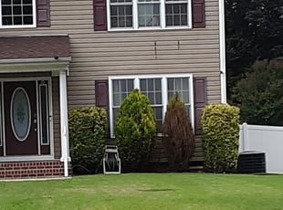 Bush Trimming by Earth Thomas for David M. in Henrico, VA