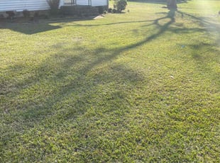 Stephanie F.'s Lawn Mowing service result