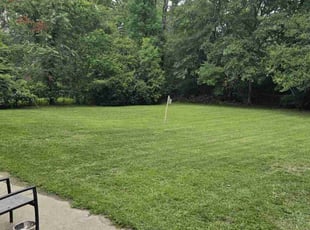 Tanya B.'s Grass Cutting service result