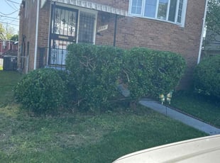 Bush Trimming by Norman Blanchard for TyReisha P. in Washington, DC