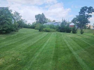 Raj M.'s Lawn Service service result