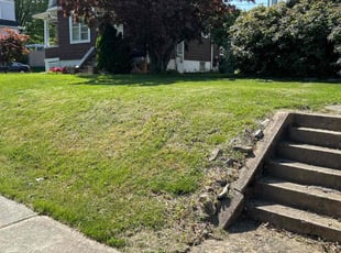 Katy S.'s Lawn Service service result