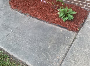Mulching by Everett Banks for Alvin F. in Virginia Beach, VA