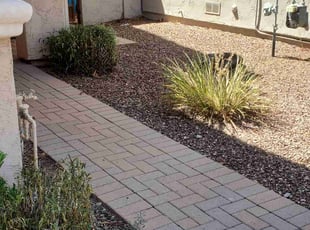 Bush Trimming by Chris Hawk for William V. in Phoenix, AZ