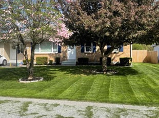 Marlene w.'s Lawn Care service result
